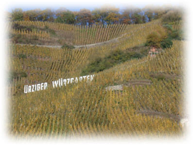 �rziger W�rzgarten, Mittel- Mosel