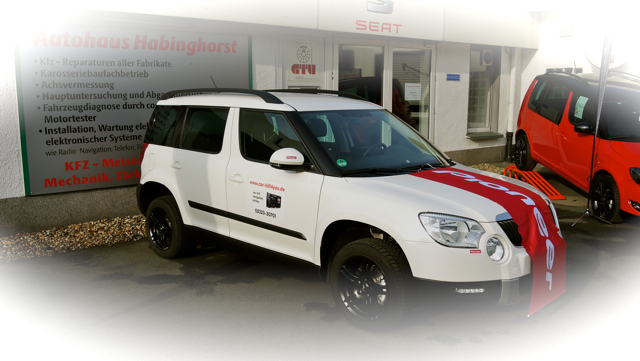 Einbau im Skoda Yeti: Pioneer F50BT - Ausstellung Autohaus Habinghorst